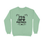 front-65250c4e361ac-Baby_Blue_XS_Sweatshirt.jpg