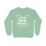 front-6525117fc67d8-Baby_Blue_XS_Sweatshirt.jpg