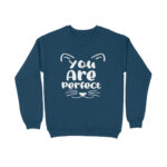 front-6525117fc67d8-Baby_Blue_XS_Sweatshirt.jpg