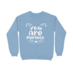 front-65251659bf728-Baby_Blue_XS_Sweatshirt.jpg