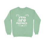 front-65251659bf728-Baby_Blue_XS_Sweatshirt.jpg